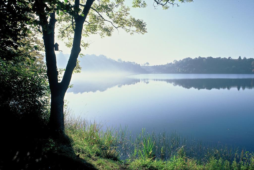 Ferienwohnung Vulkaneifel เดาน์ ภายนอก รูปภาพ